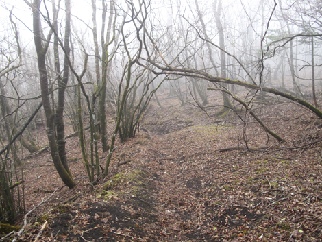 20181205hike (21)